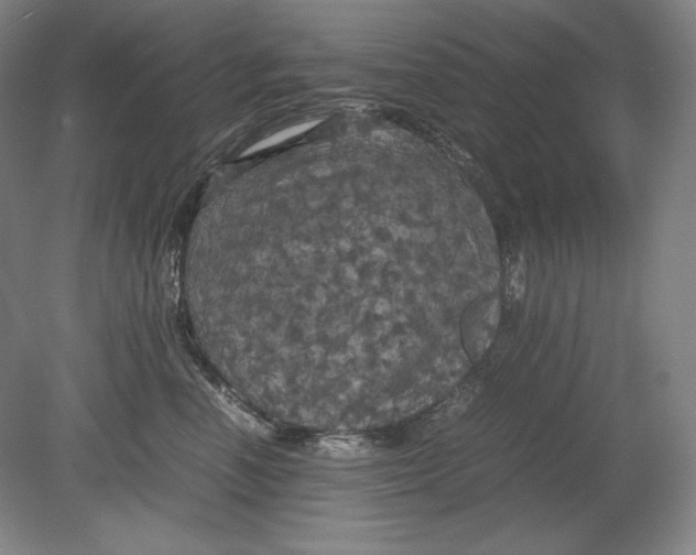 X0000080760666200701051237