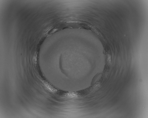X0000080760668200701051237