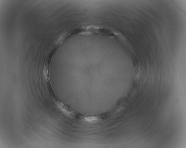 X0000080760669200701051237