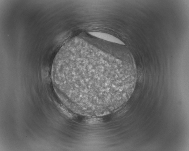 X0000080760670200701051237