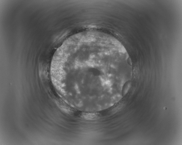 X0000080760671200701051237