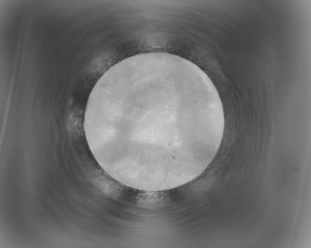 X0000080760672200701051237