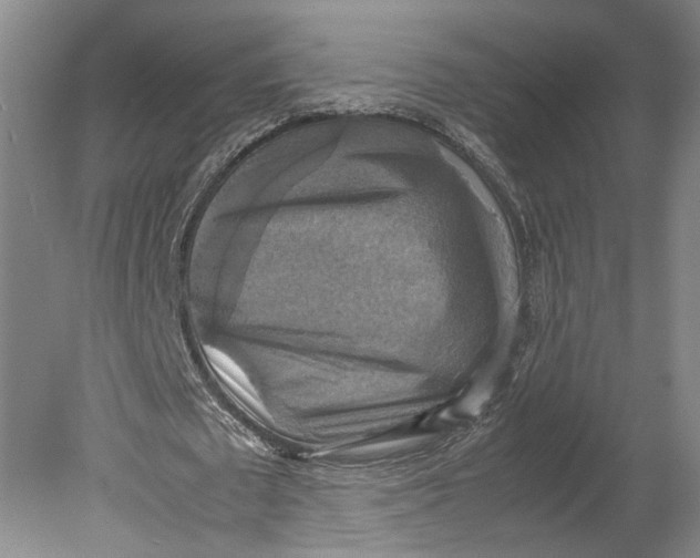 X0000080760673200701051237