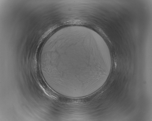 X0000080760674200701051237