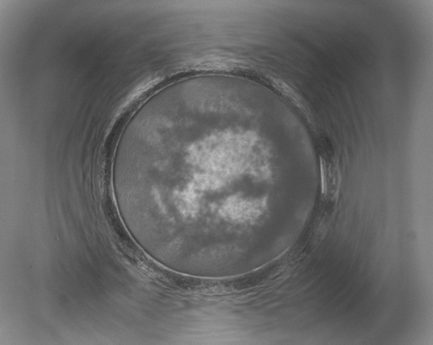 X0000080760675200701051237