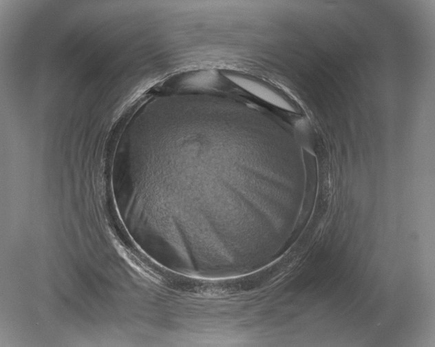 X0000080760677200701051237