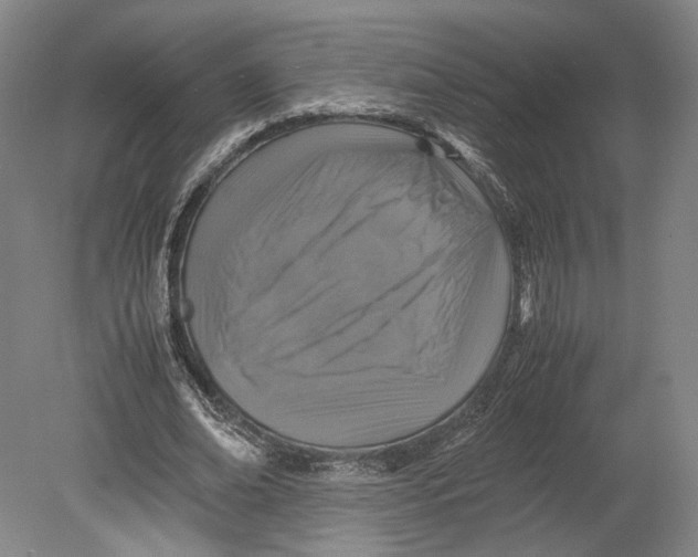 X0000080760678200701051237