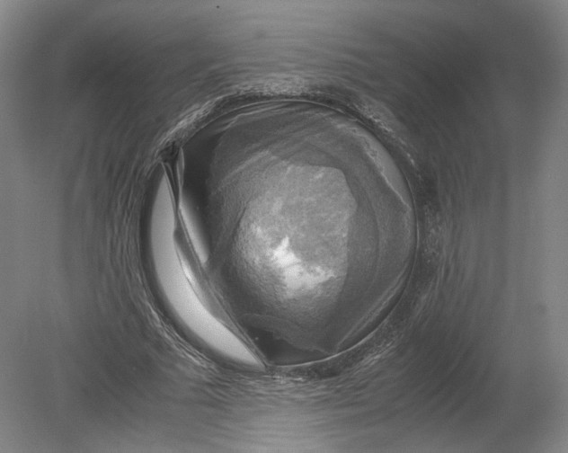 X0000080760681200701051237