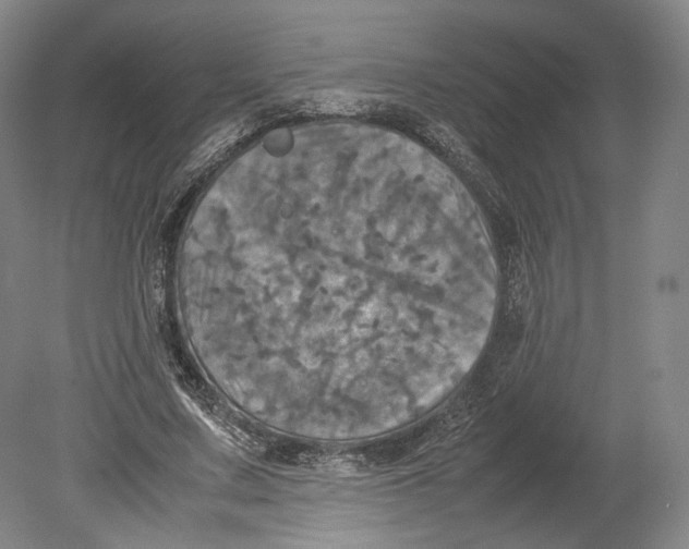 X0000080760683200701051236