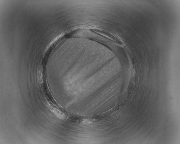 X0000080760684200701051236