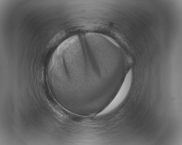 X0000080760685200701051236