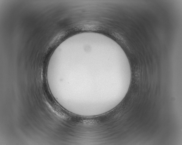X0000080760686200701051236