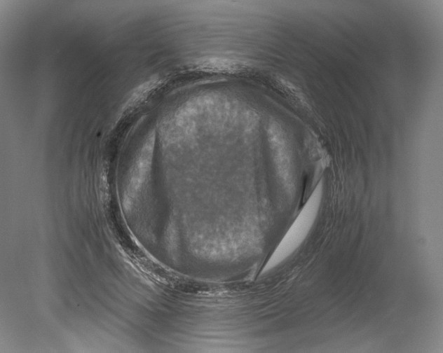 X0000080760688200701051236