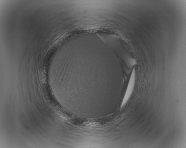 X0000080760689200701051236