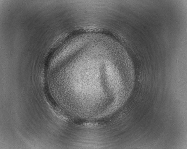 X0000080760690200701051236