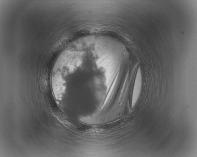 X0000080760691200701051236