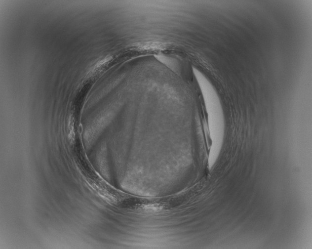 X0000080760692200701051236