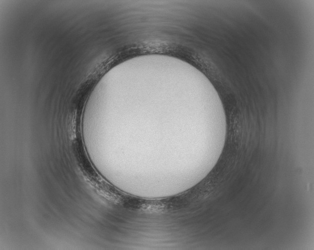 X0000080760694200701051236