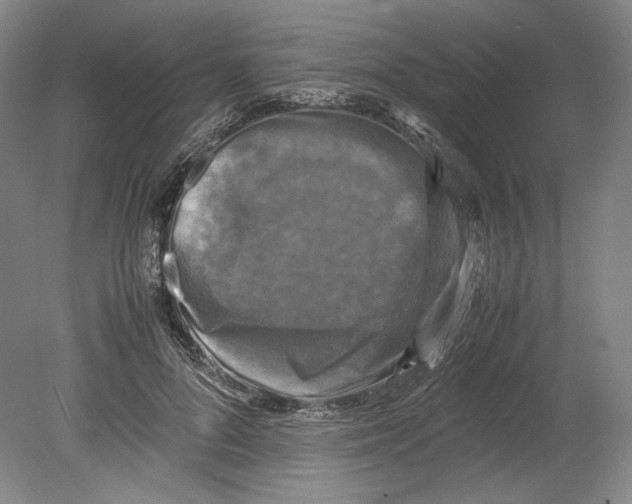 X0000080760696200701051236