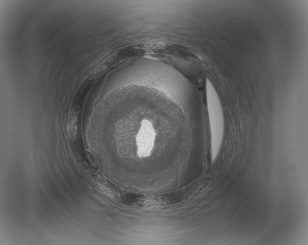 X0000080760697200701051236
