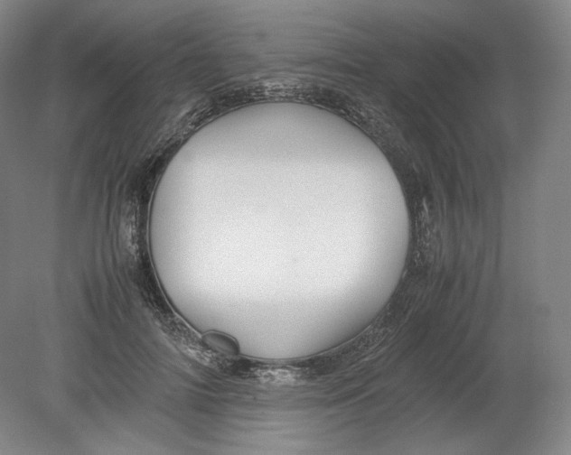 X0000080760698200701051236