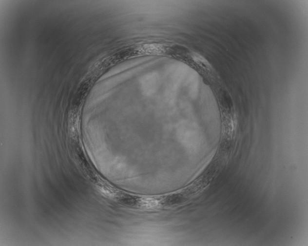 X0000080760701200701051236