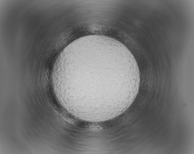 X0000080760702200701051236