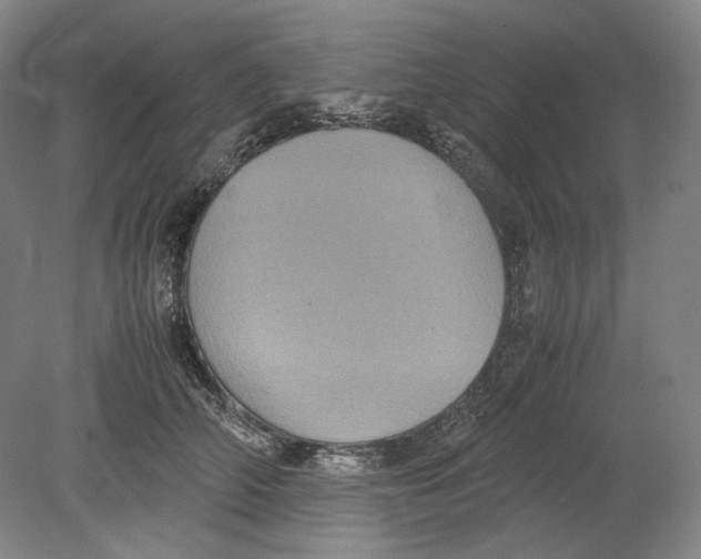 X0000080760706200701051236