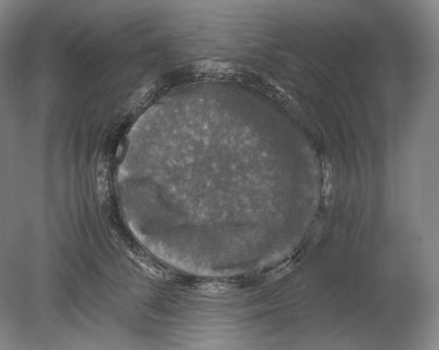 X0000080760708200701051236