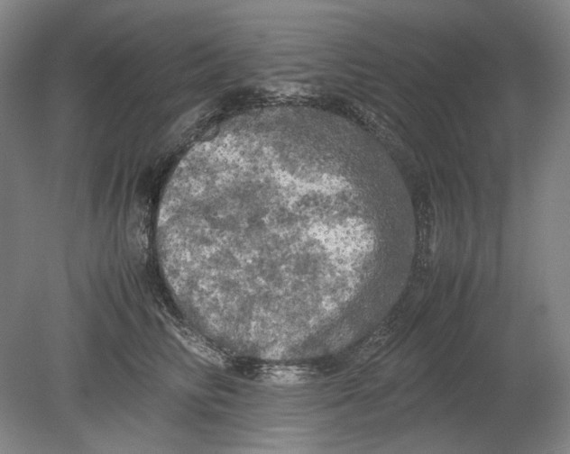 X0000080760710200701051236