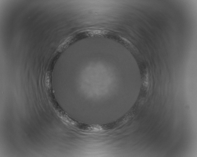 X0000080760715200701051236