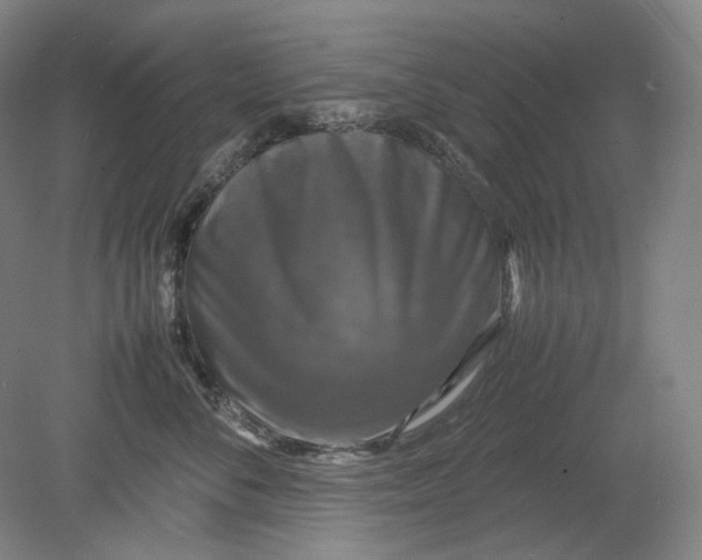 X0000080760716200701051236