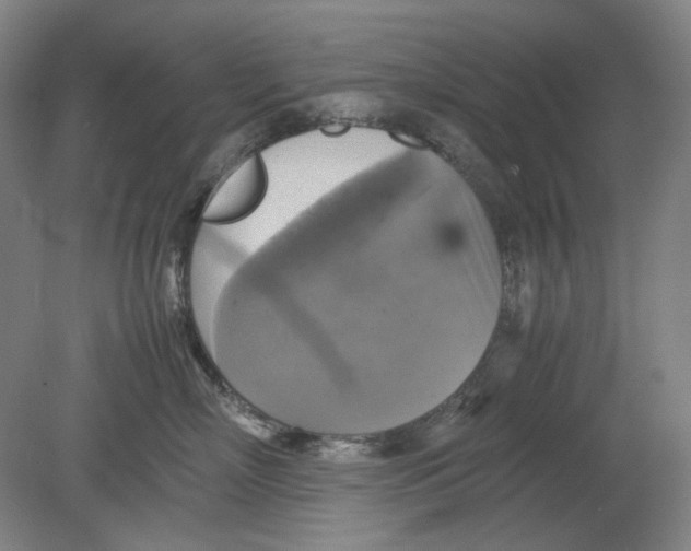 X0000080760718200701051236