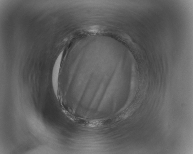 X0000080760720200701051236