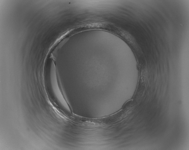 X0000080760722200701051235