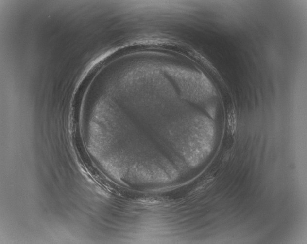 X0000080760724200701051235