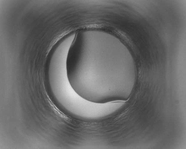 X0000080760725200701051235