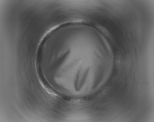 X0000080760728200701051235