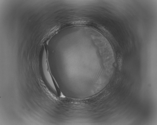 X0000080760729200701051235