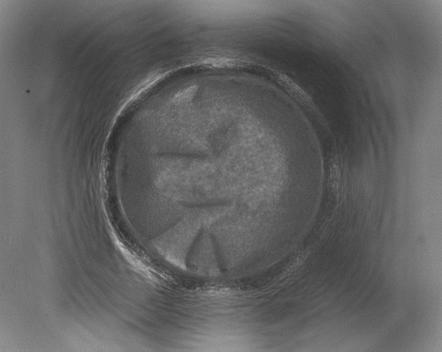 X0000080760730200701051235