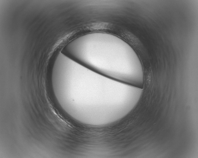 X0000080760732200701051235