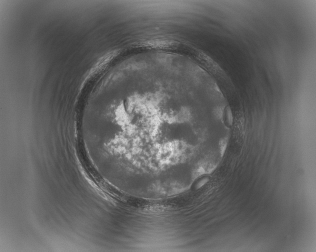 X0000080760734200701051235