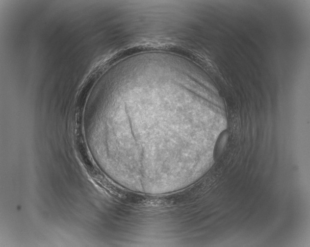 X0000080760736200701051235