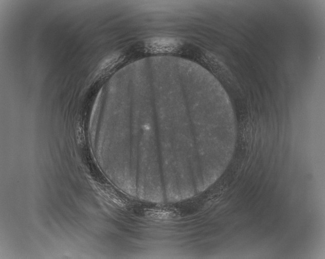 X0000080760743200701051235