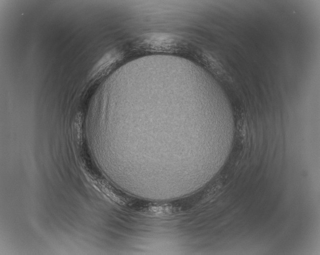 X0000080760744200701051235