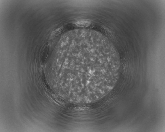 X0000080760745200701051235