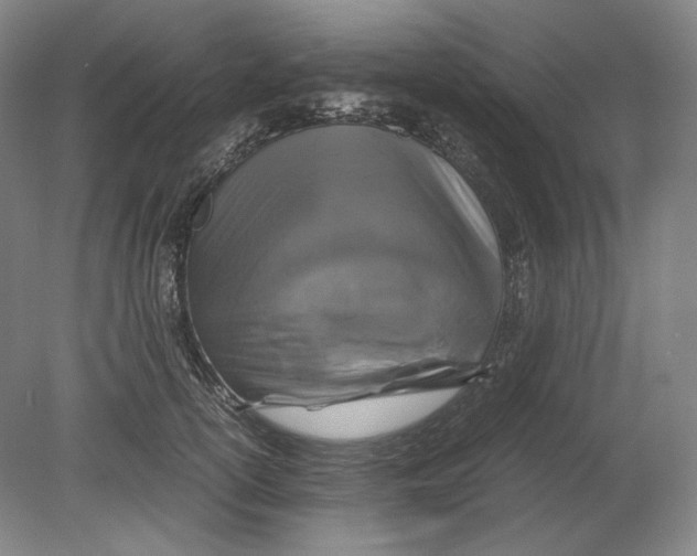 X0000080760754200701051236