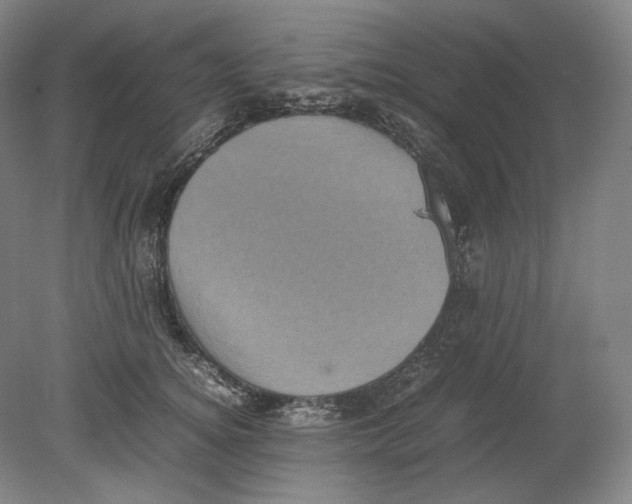 X0000080760756200701051236