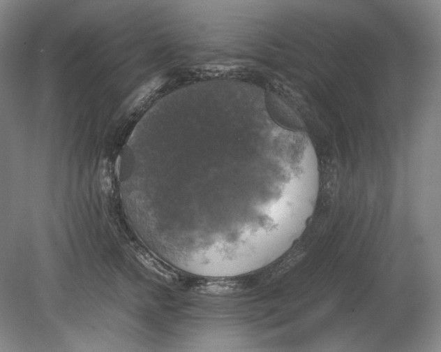 X0000080760758200701051236