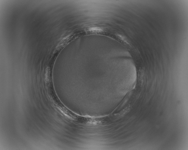 X0000080760760200701051236